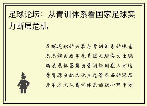 足球论坛：从青训体系看国家足球实力断层危机